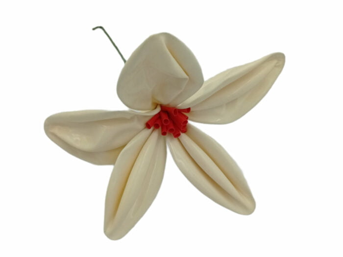 Ιβουάρ λουλούδι από λάτεξ μπαλόνια