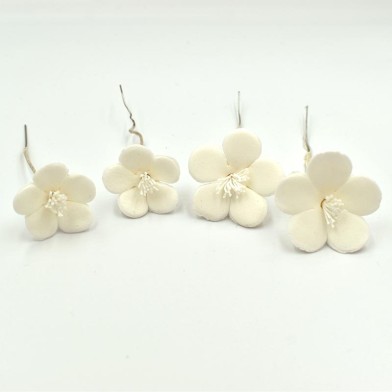 Μικρά Λευκά λουλουδάκια 2